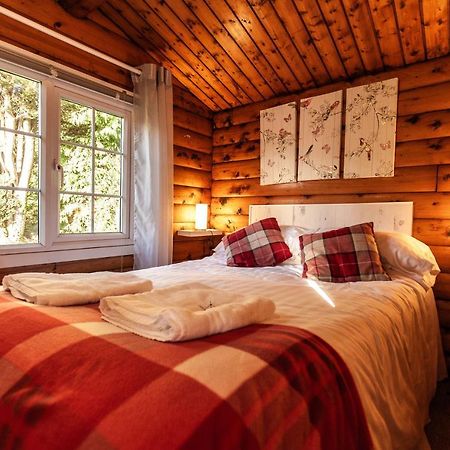 Welsh Retreat 2 Bedroom Log Cabin - Seren Property Trawsfynydd Eksteriør billede