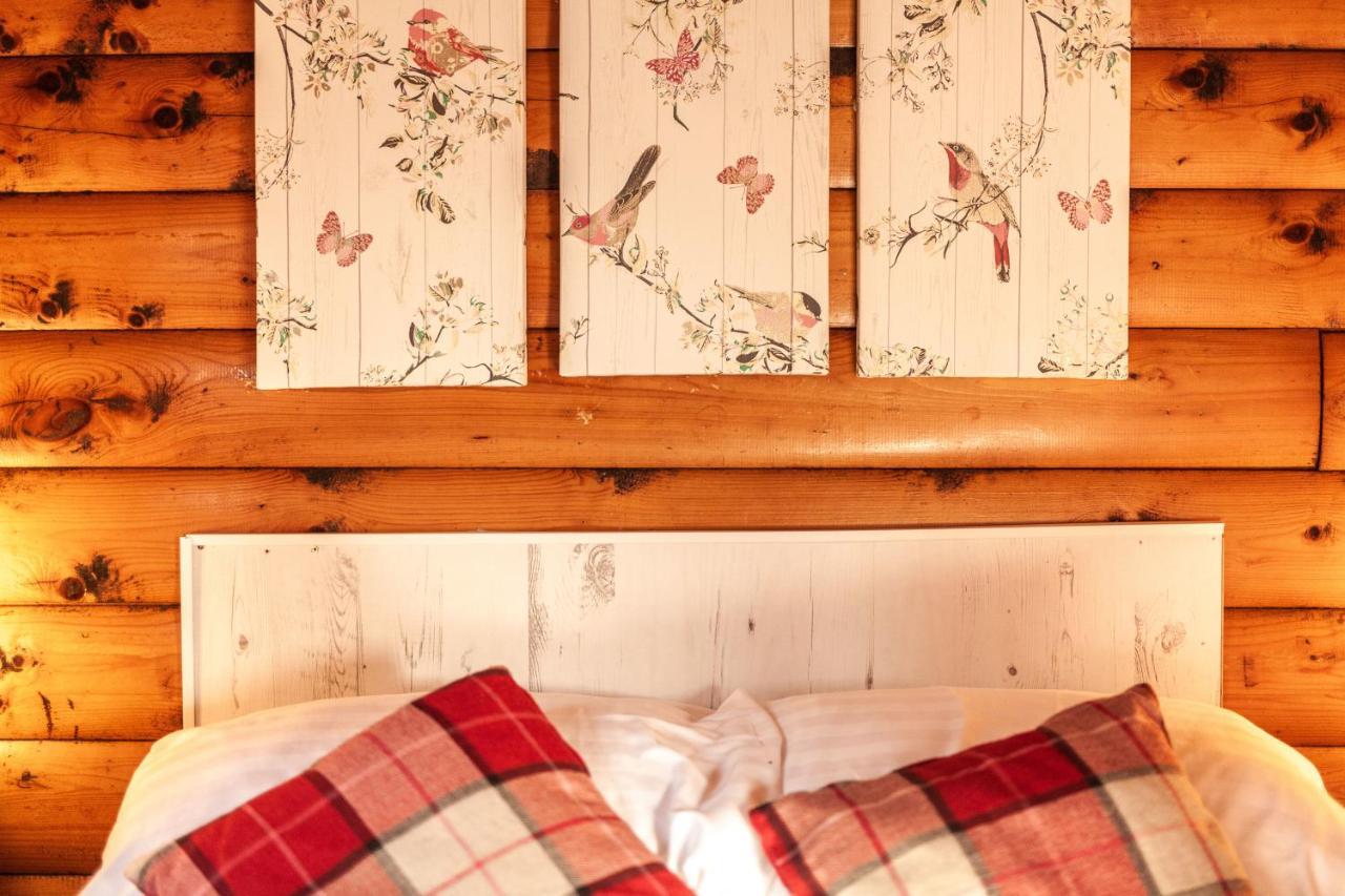 Welsh Retreat 2 Bedroom Log Cabin - Seren Property Trawsfynydd Eksteriør billede